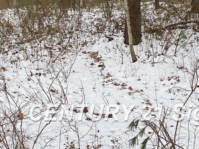 0 West Wackerly Road Sanford, MI 48657 - Photo 15 of 19