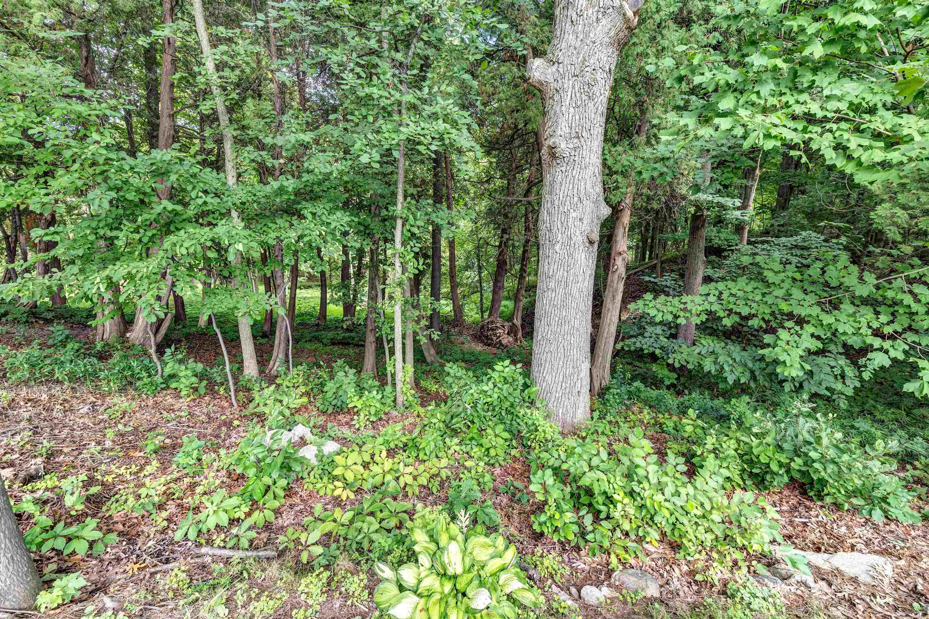 3347 Largo Ridge Drive Green Bay, WI 54311 - Photo 32 of 33