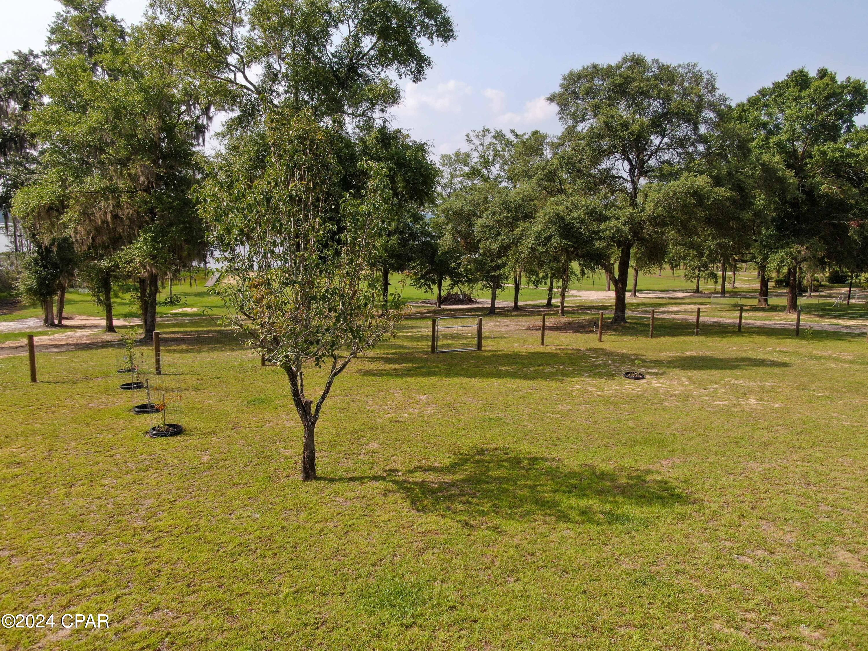 3126 Lucas Lake Road Chipley, FL 32428 - Photo 38 of 51 Gallery Image 38