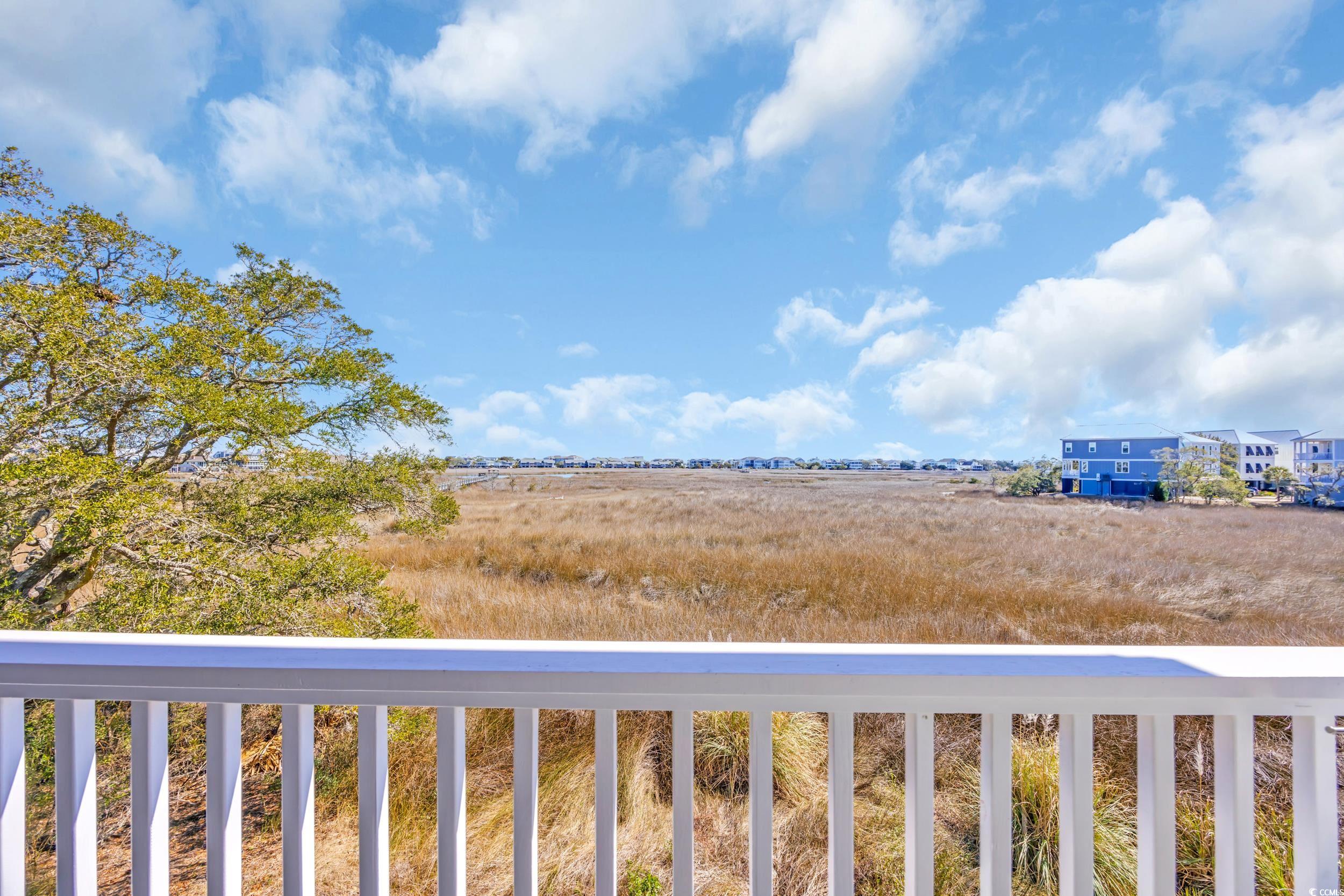 3 Half Shell Court Pawleys Island, SC 29585 - Photo 20 of 40 Gallery Image 20