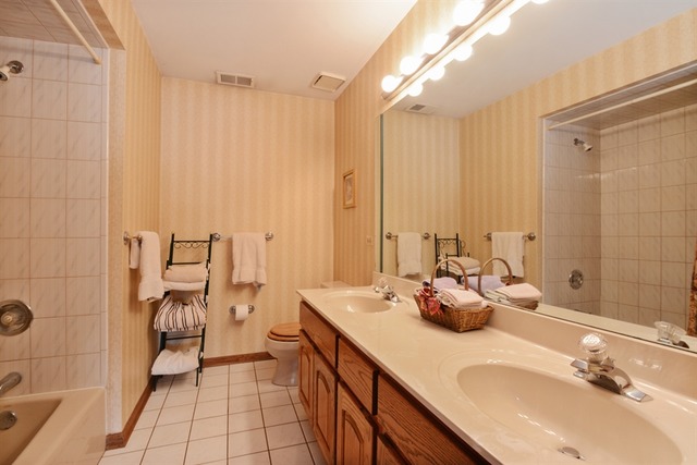 11445 Hummingbird Lane Mokena, IL 60448 - Photo 9 of 10 a bathroom with a double vanity sink and a mirror