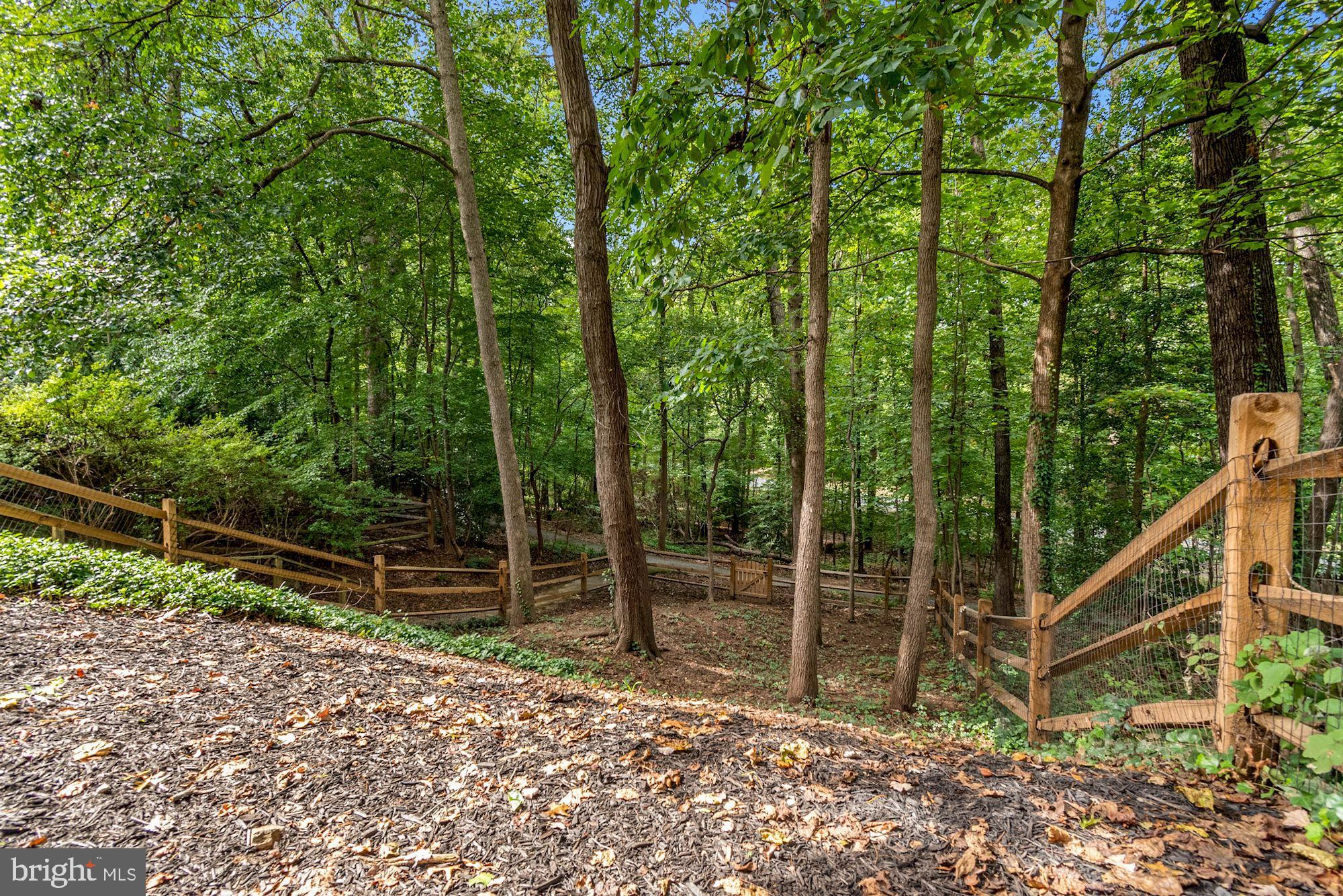 7929 Inverness Ridge Road Potomac, MD 20854 - Photo 44 of 45