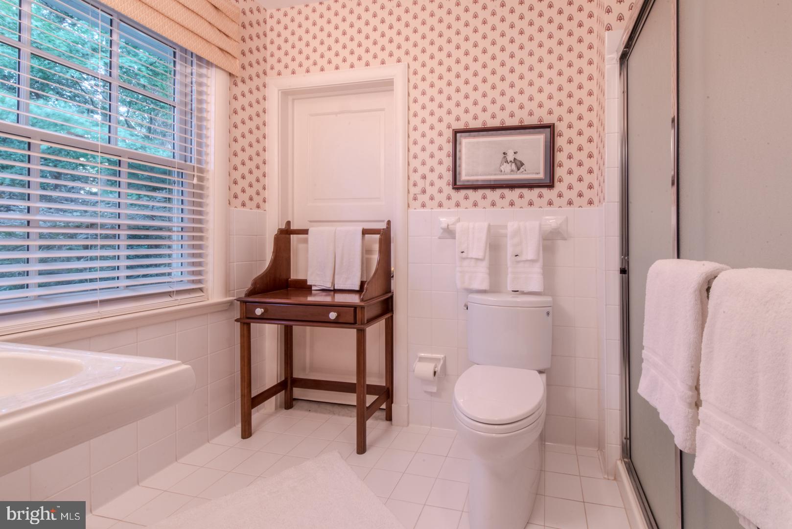 3200 Caves Road Owings Mills, MD 21117 - Photo 40 of 56 Full Bath