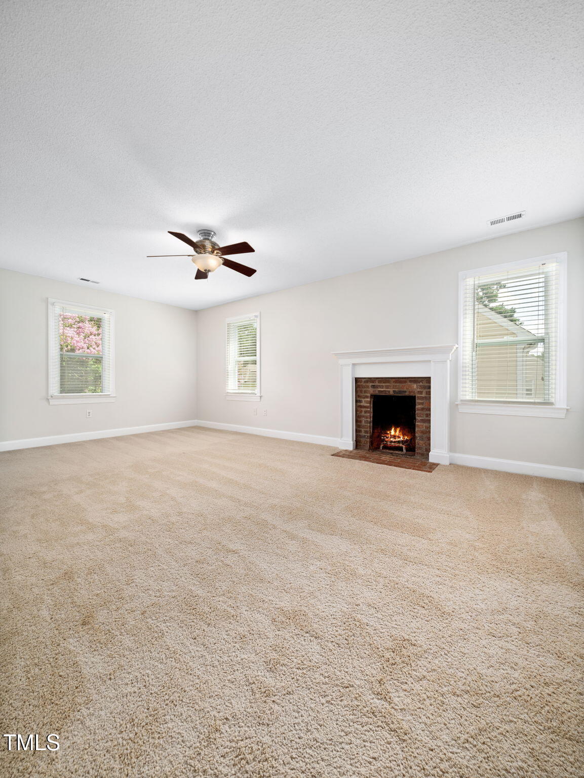 3909 Iron Horse Road Raleigh, NC 27616 - Photo 27 of 47 an empty room with windows and fireplace