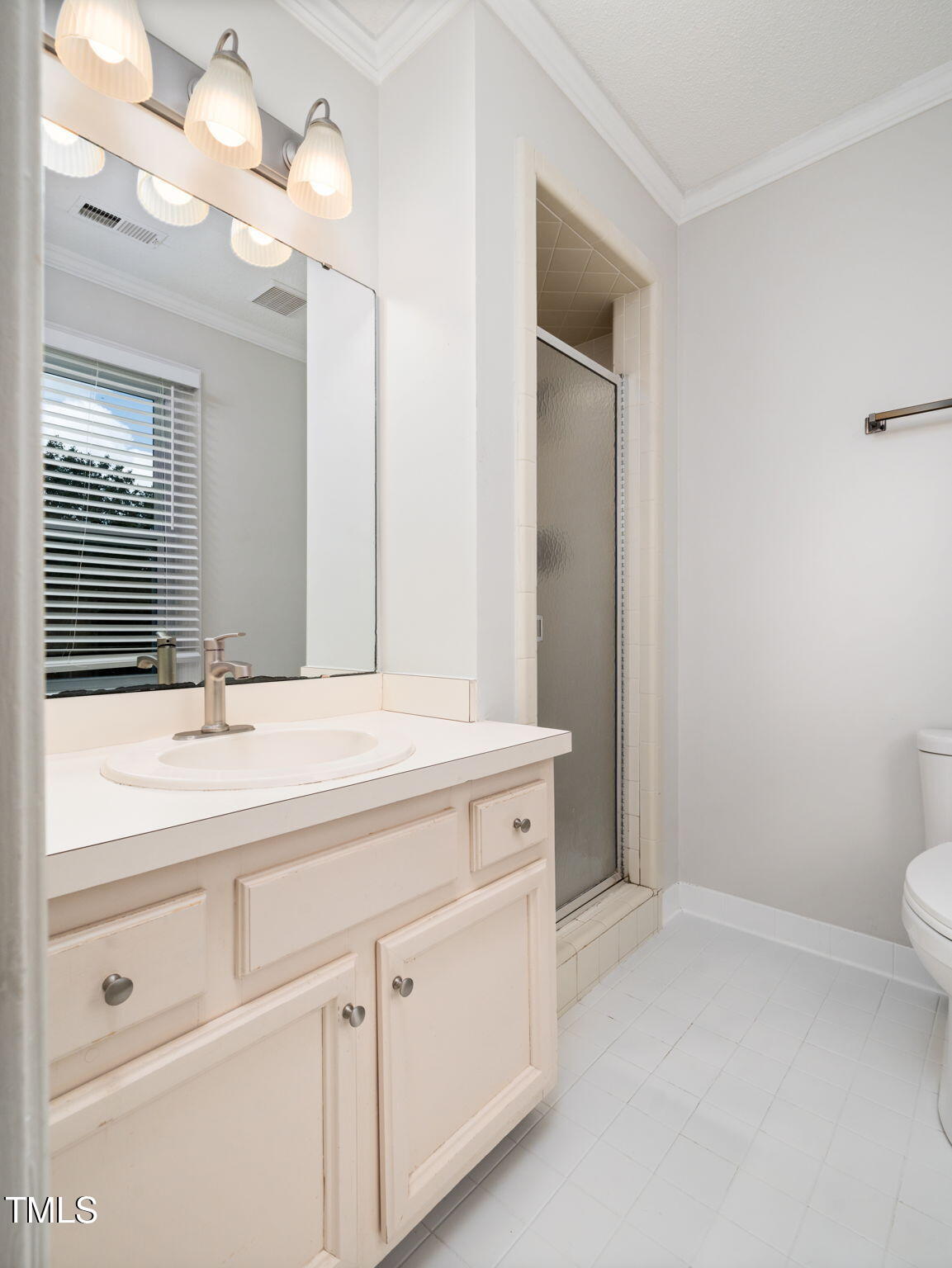 3909 Iron Horse Road Raleigh, NC 27616 - Photo 30 of 47 a bathroom with a sink a toilet and a mirror