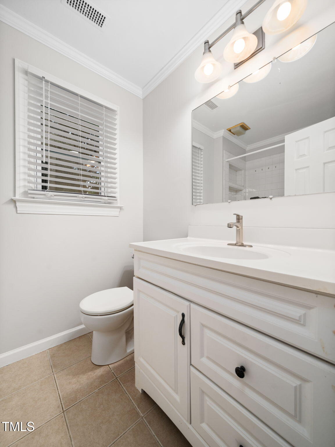 3909 Iron Horse Road Raleigh, NC 27616 - Photo 34 of 47 a bathroom with a toilet a sink a mirror and a window
