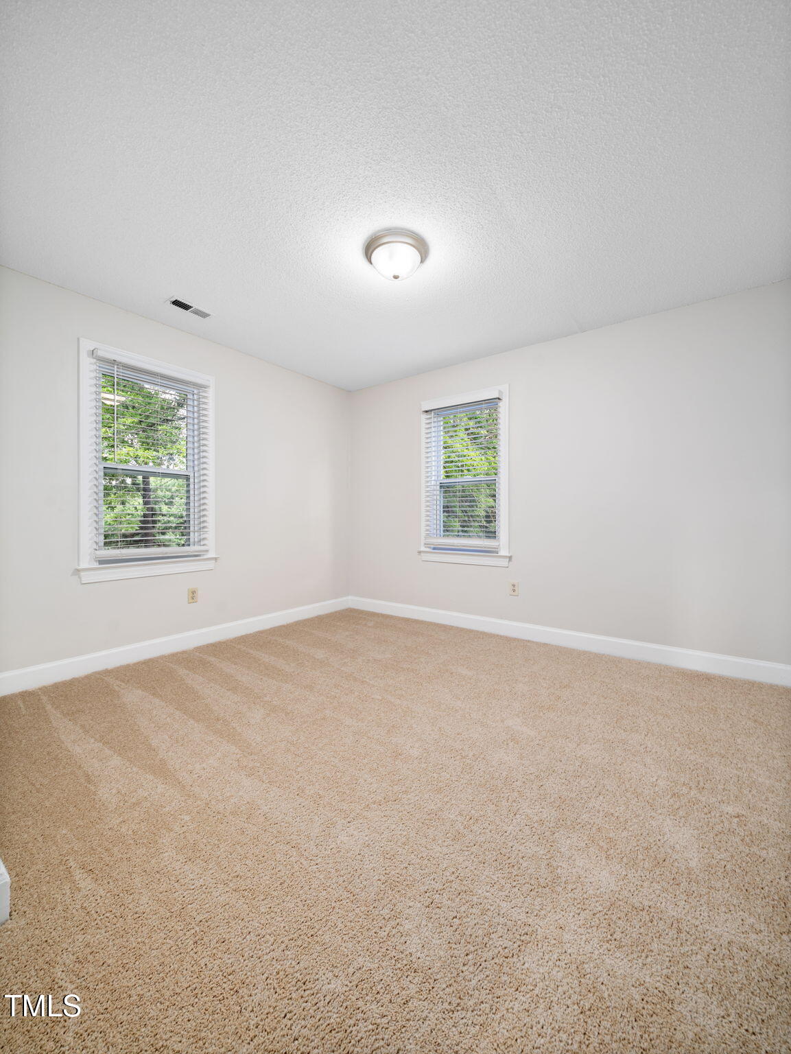 3909 Iron Horse Road Raleigh, NC 27616 - Photo 37 of 47 an empty room with windows
