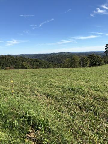 470 Haynes Ridge Road Speedwell, TN 37870 - Photo 4 of 7 470 Haynes Ridge Rd-Field