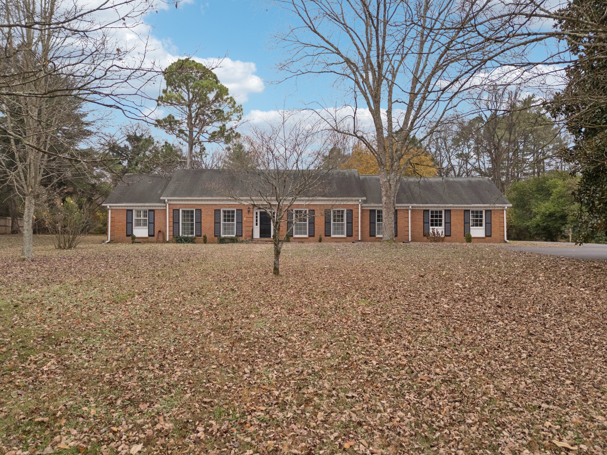 front view of house with a tree
