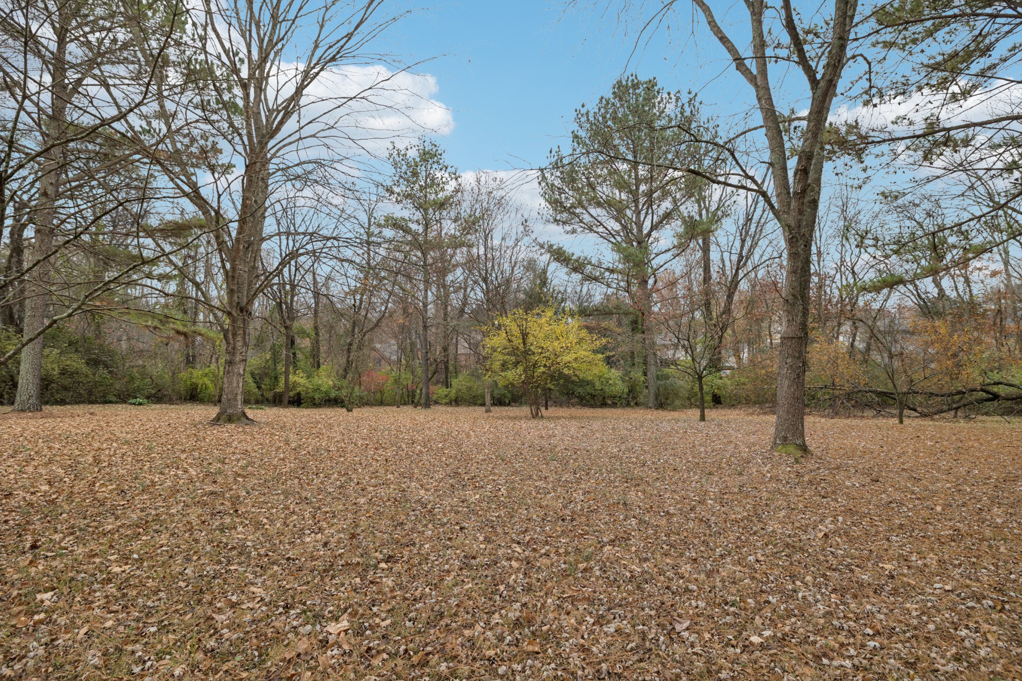 718 Murfreesboro Road Franklin, TN 37064 - Photo 31 of 35 a backyard of a house with lots of green space