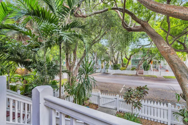 a view of a yard with plants and trees