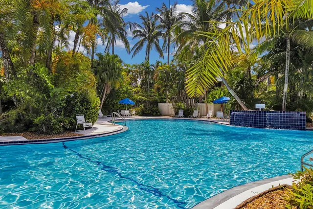 a view of a backyard with large trees