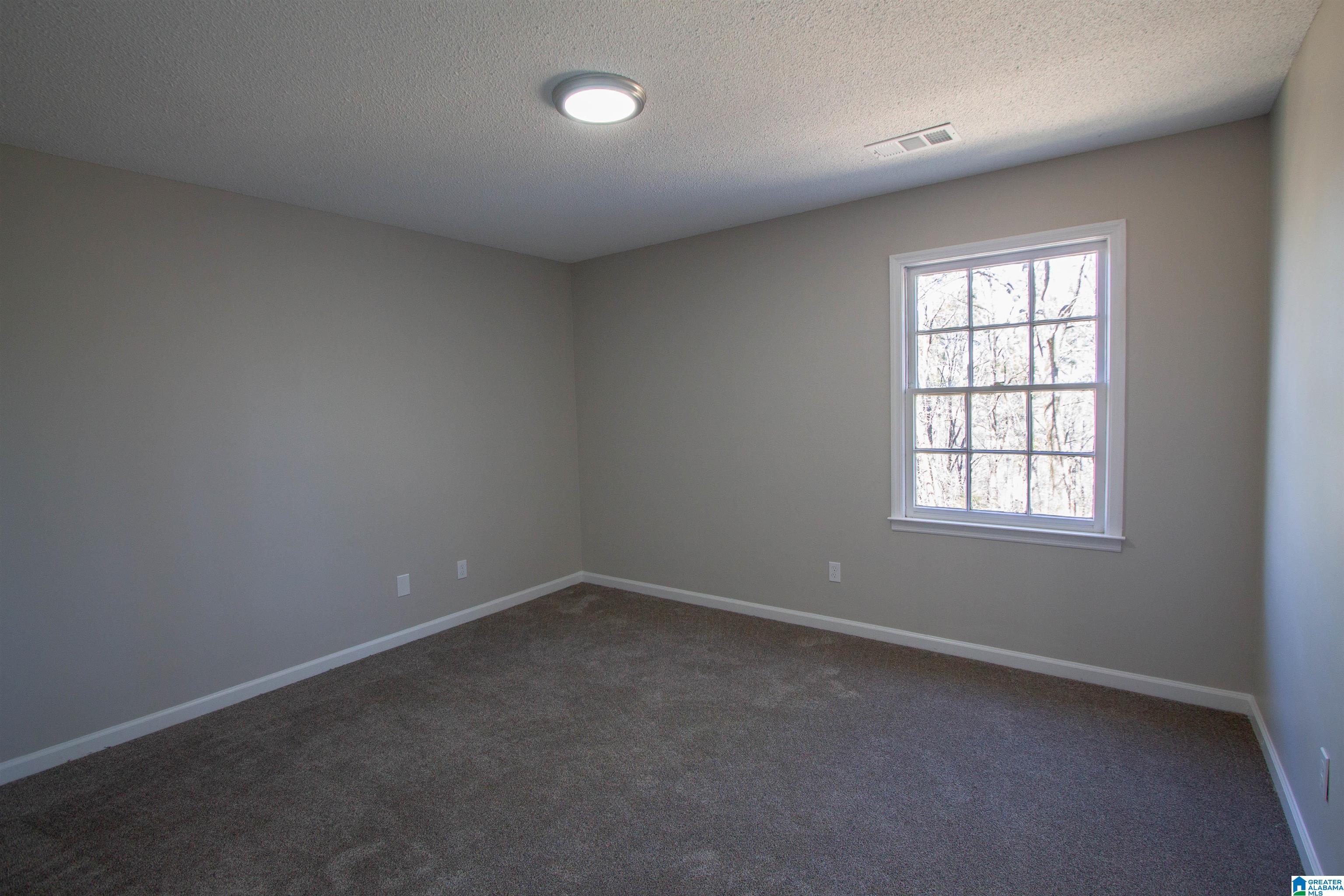 116 Lighthouse Drive Alabaster, AL 35007 - Photo 48 of 66