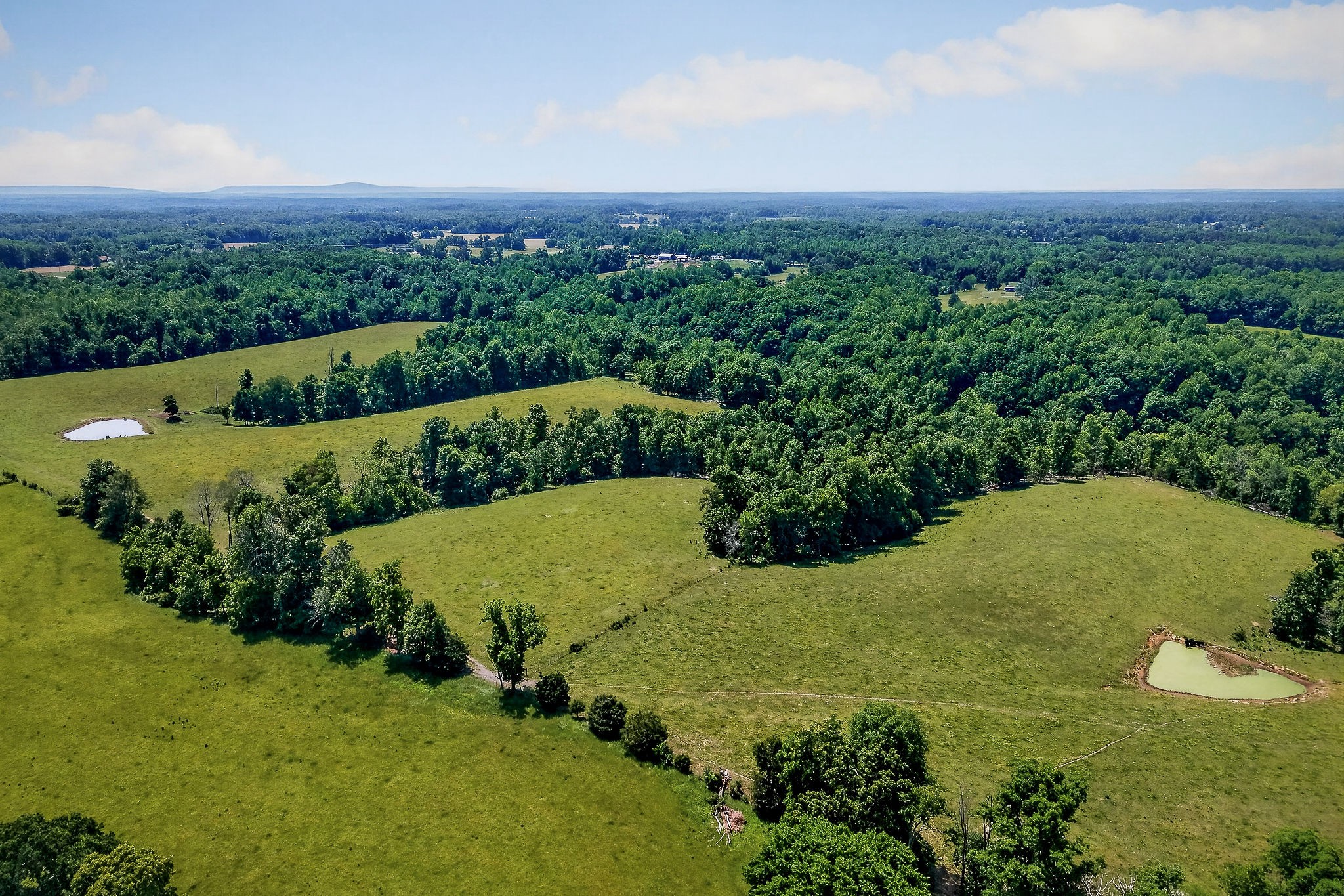 8495 Baxter Road Baxter, TN 38544 - Photo 21 of 62