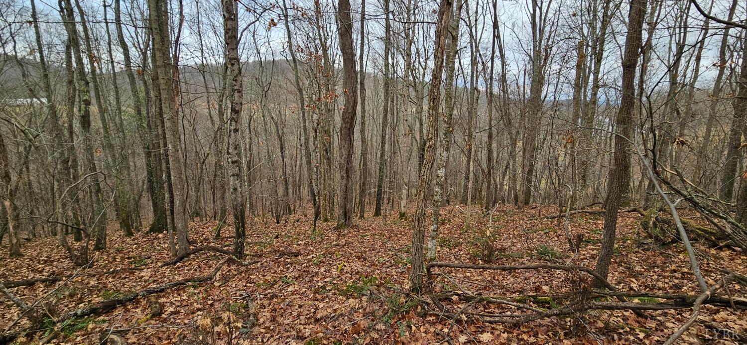 0 Major Graham Road Max Meadows, VA 24360 - Photo 5 of 12