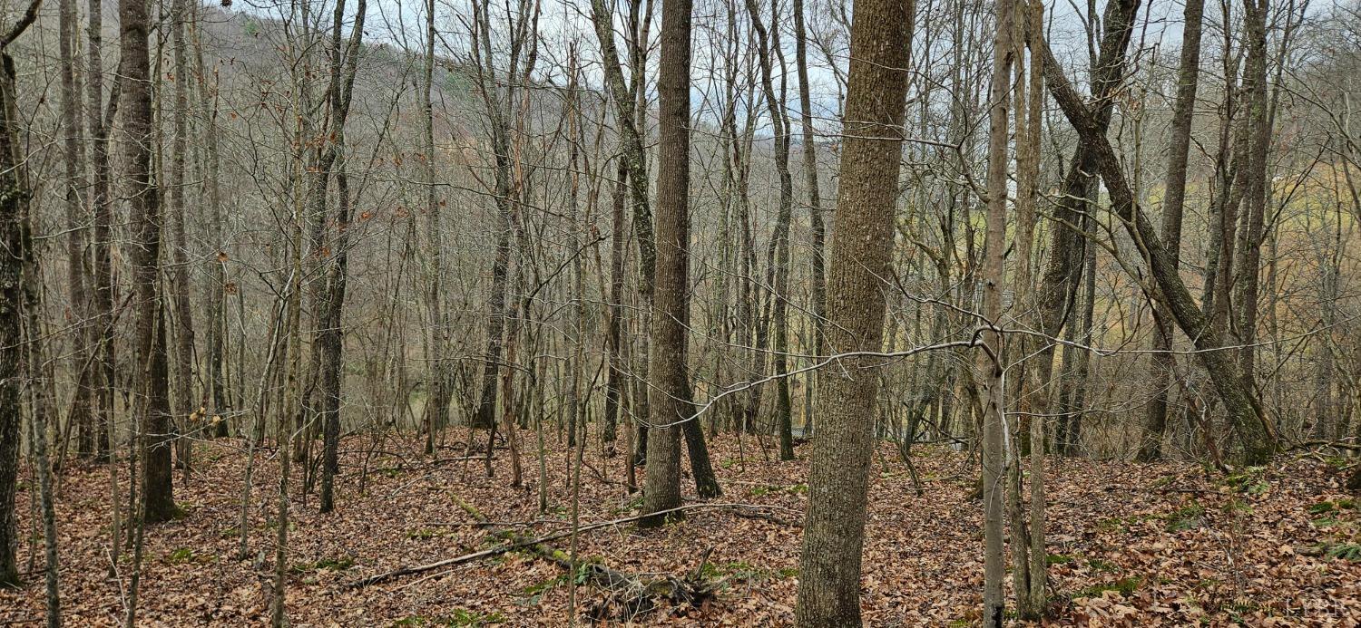 0 Major Graham Road Max Meadows, VA 24360 - Photo 10 of 12