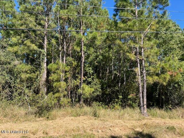 Cain Road Bay St. Louis, MS 39520 - Photo 1 of 8 1