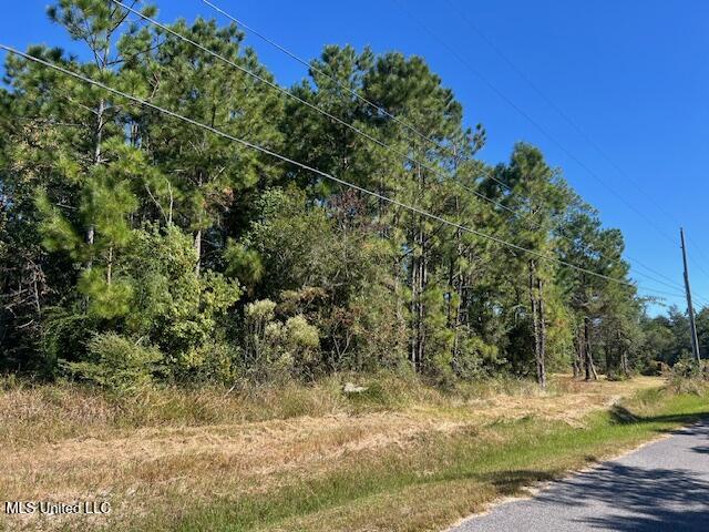 Cain Road Bay St. Louis, MS 39520 - Photo 3 of 8 2