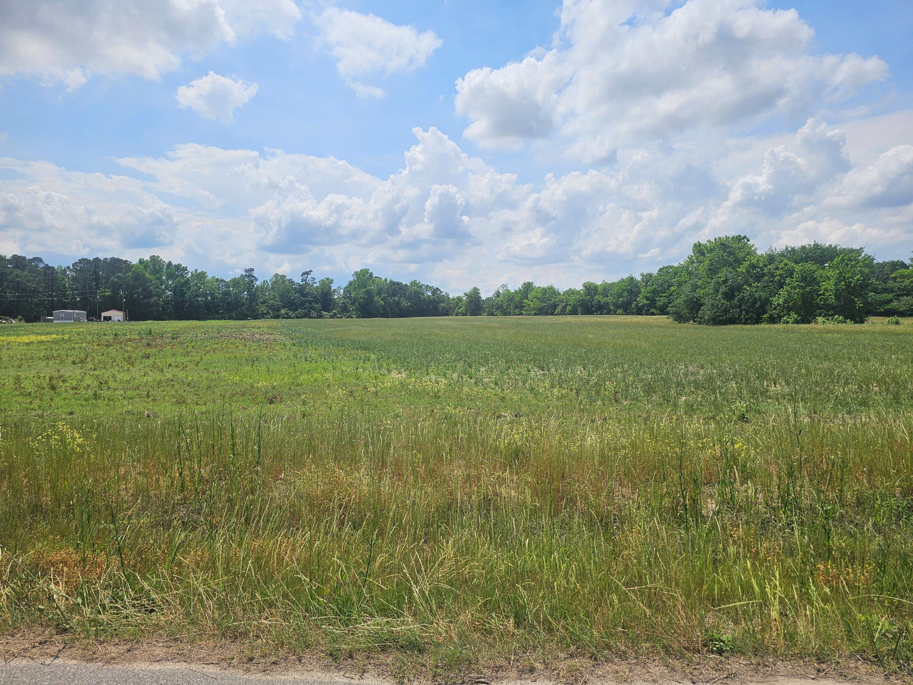 0 Wactor Drive Santee, SC 29142 - Photo 2 of 2 0 Wactor Rd