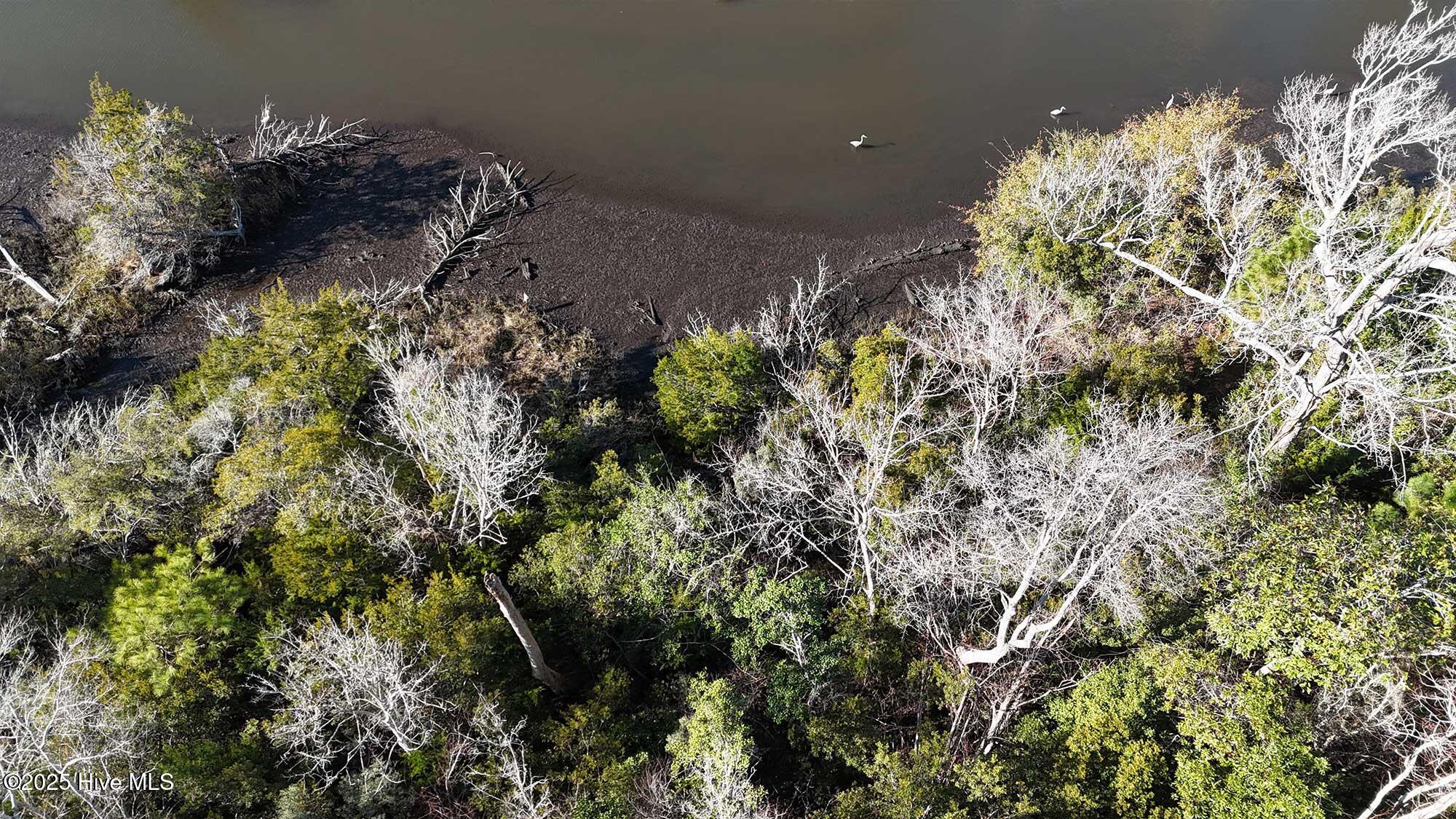 406 Salt Meadow Holly Ridge, NC 28445 - Photo 7 of 7 lot51-6