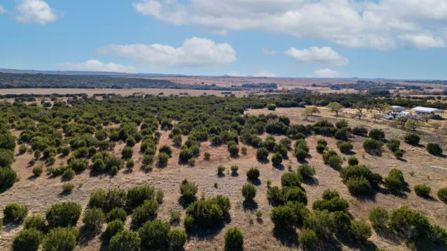 a view of a lake with a mountain