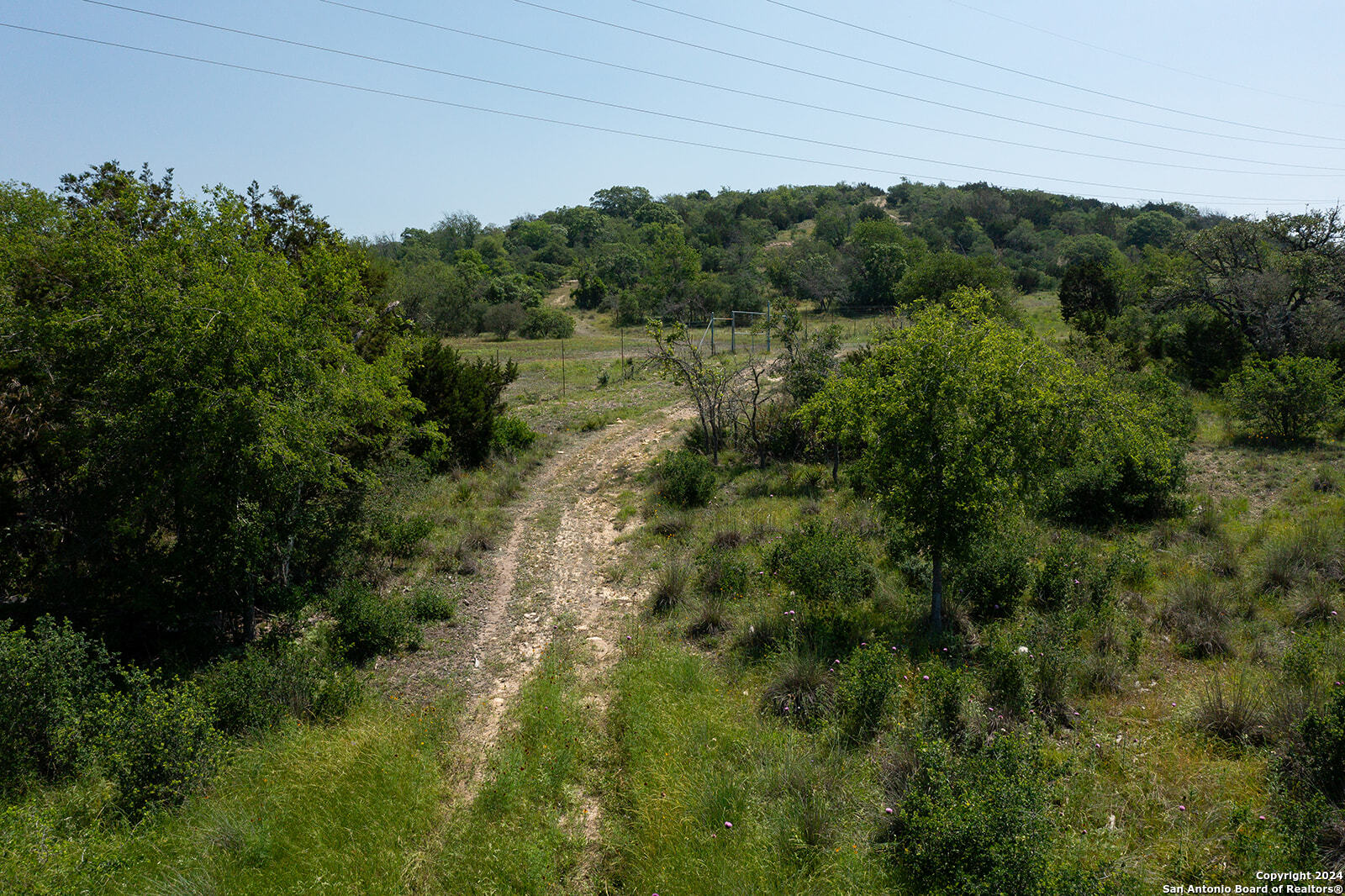 140 Twin Springs Road North Kerrville, TX 78028 - Photo 27 of 47 a view of a forest with a street