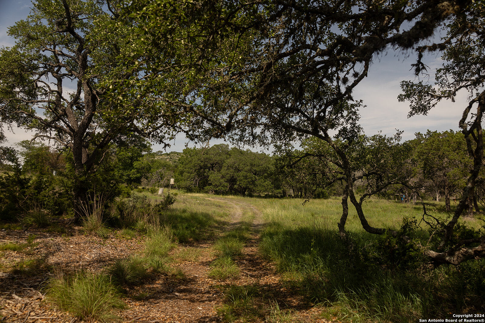 140 Twin Springs Road North Kerrville, TX 78028 - Photo 29 of 47 a view of mountain view with lots of trees