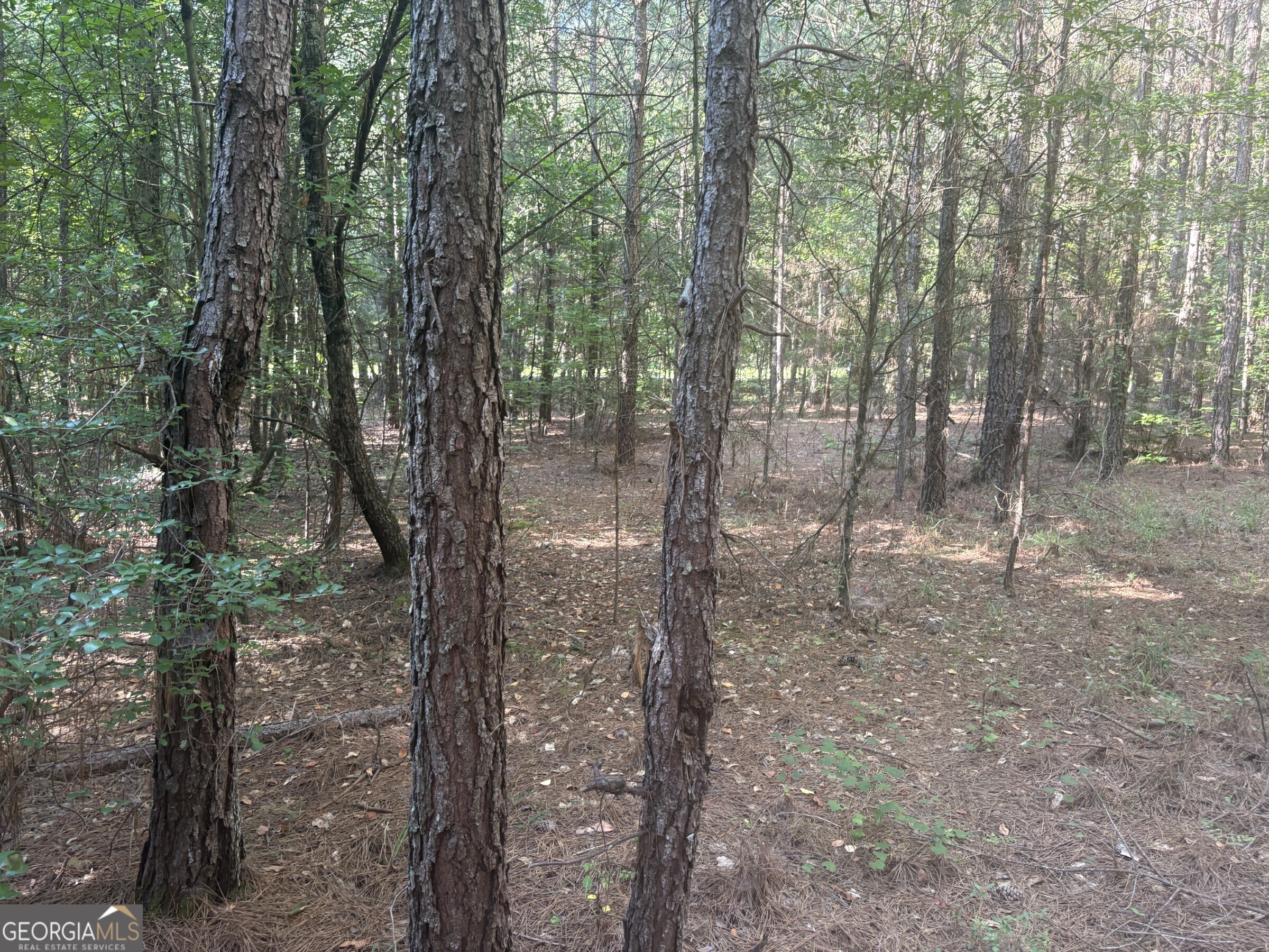 41 Elton Stewart Road Carlton, GA 30627 - Photo 12 of 12