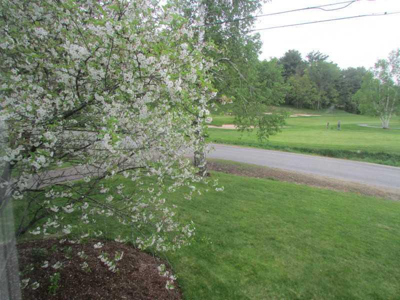 159 Ridge Road Bath, ME 04530 - Photo 19 of 23 Yard/Garden.