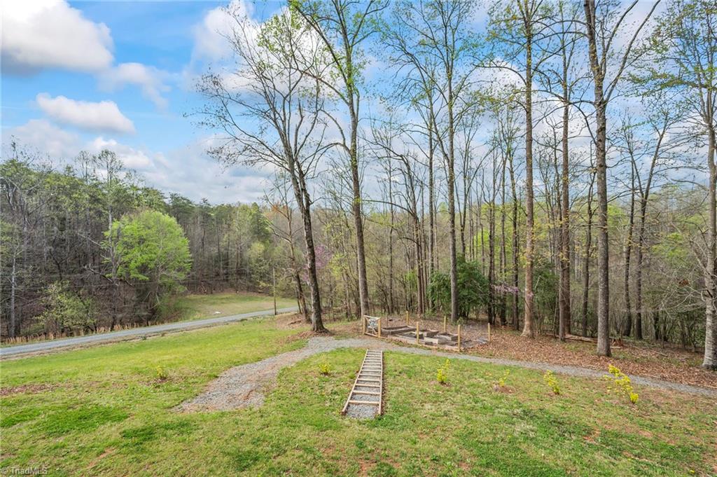 1037 Hendrix Drive Boonville, NC 27011 - Photo 40 of 48