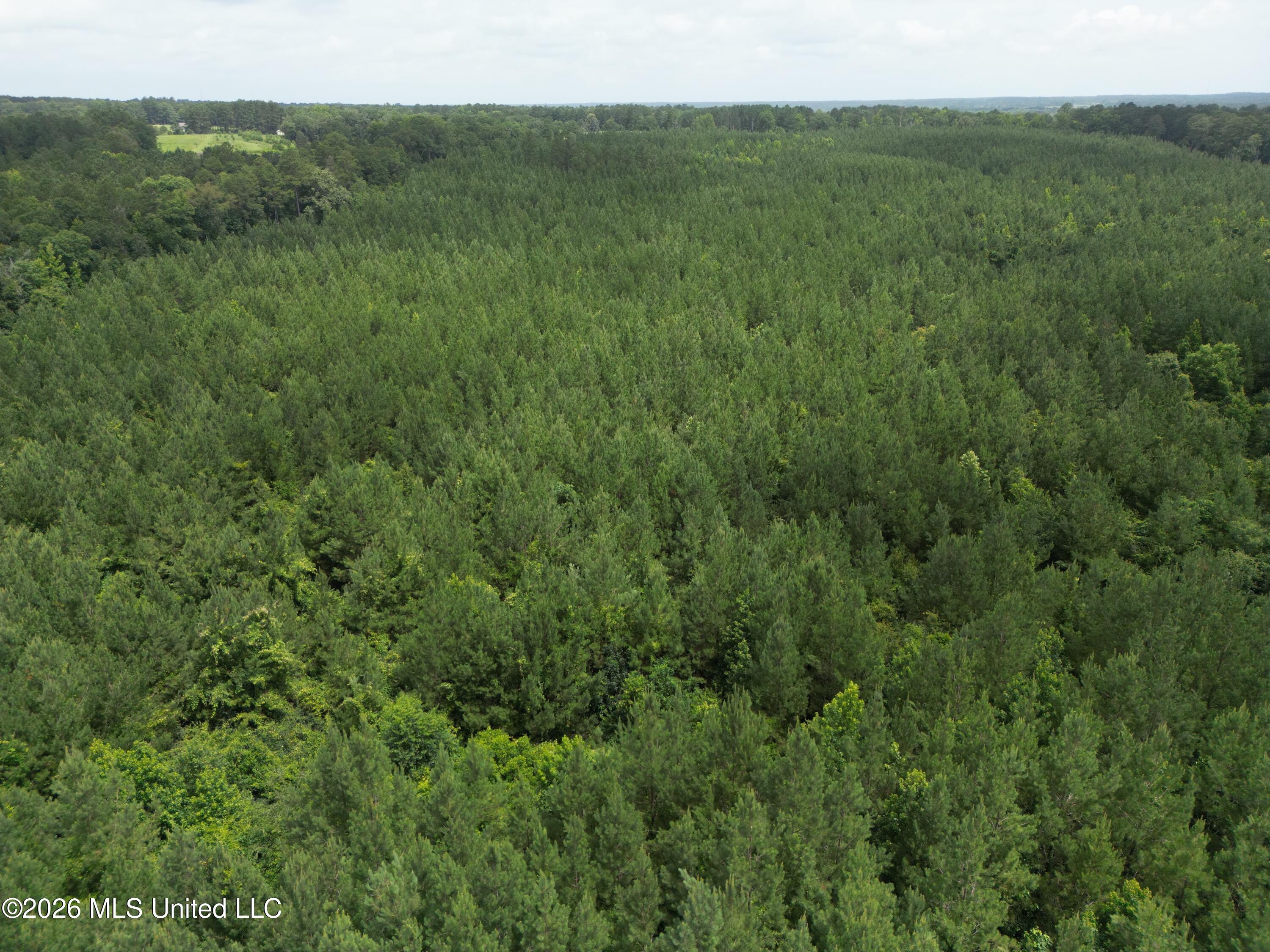 Summit Holmesville Road McComb, MS 39648 - Photo 12 of 29 DJI_0620