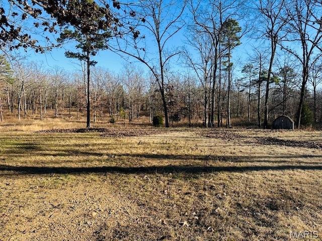 30120 Highway 60 Ellsinore, MO 63937 - Photo 11 of 12