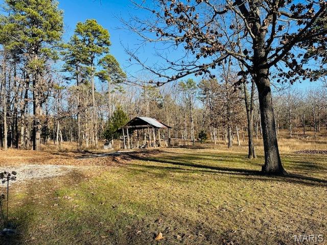 30120 Highway 60 Ellsinore, MO 63937 - Photo 12 of 12