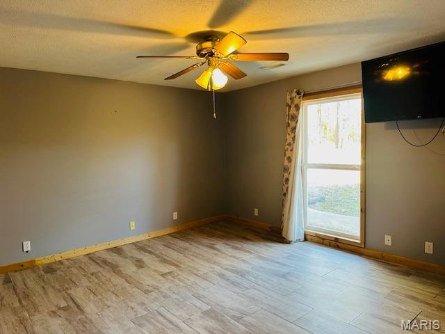 30120 Highway 60 Ellsinore, MO 63937 - Photo 6 of 12