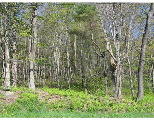 Lot 46 Old Lewiston Road Winthrop, ME 04364 - Photo 7 of 7 Land/Lot. More views! Call for...