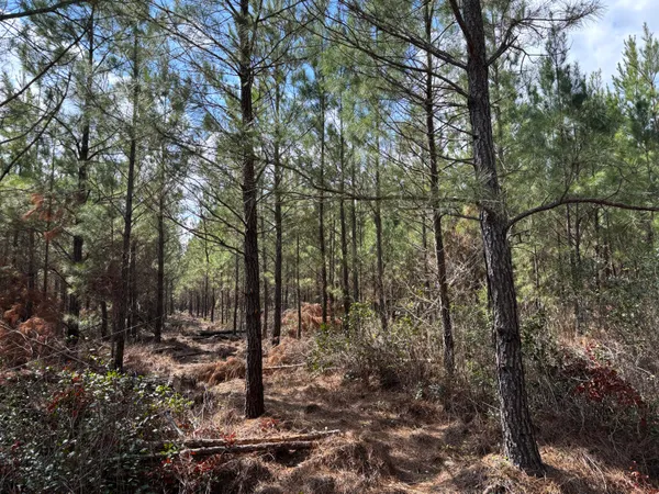 $169,000 | 11 Red Oak Road, Cottageville, SC 29435