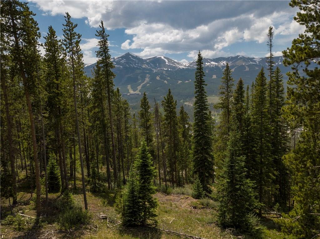 19 Bearing Tree Road Breckenridge, CO 80424 - Photo 2 of 7 a view of a city with lots of trees