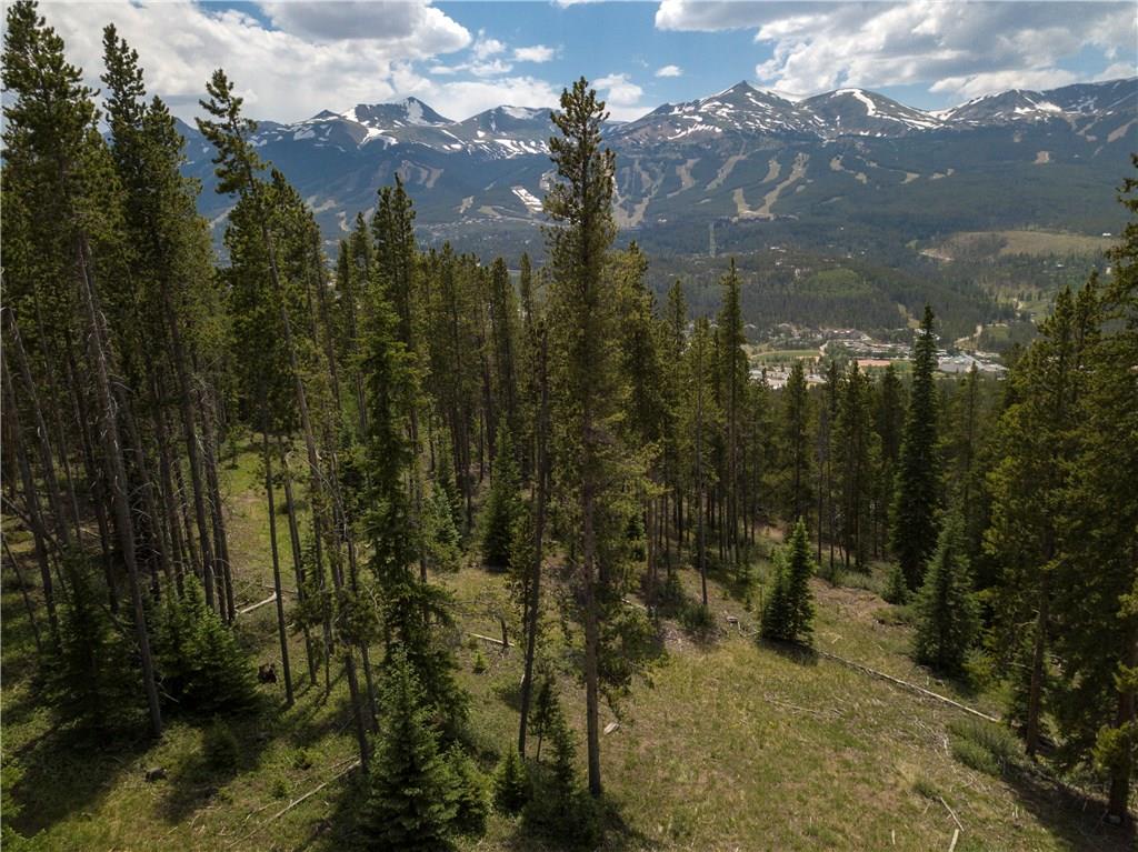 19 Bearing Tree Road Breckenridge, CO 80424 - Photo 6 of 7 a view of a city
