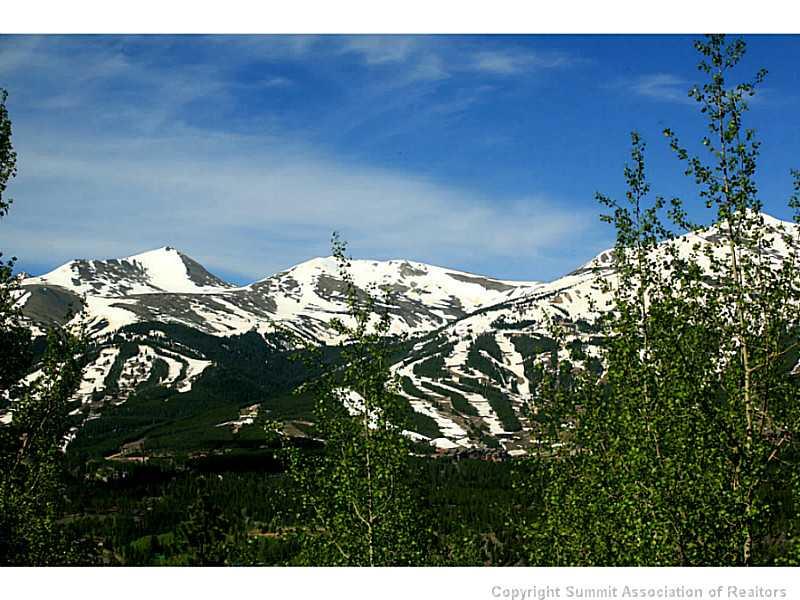 19 Bearing Tree Road Breckenridge, CO 80424 - Photo 7 of 7