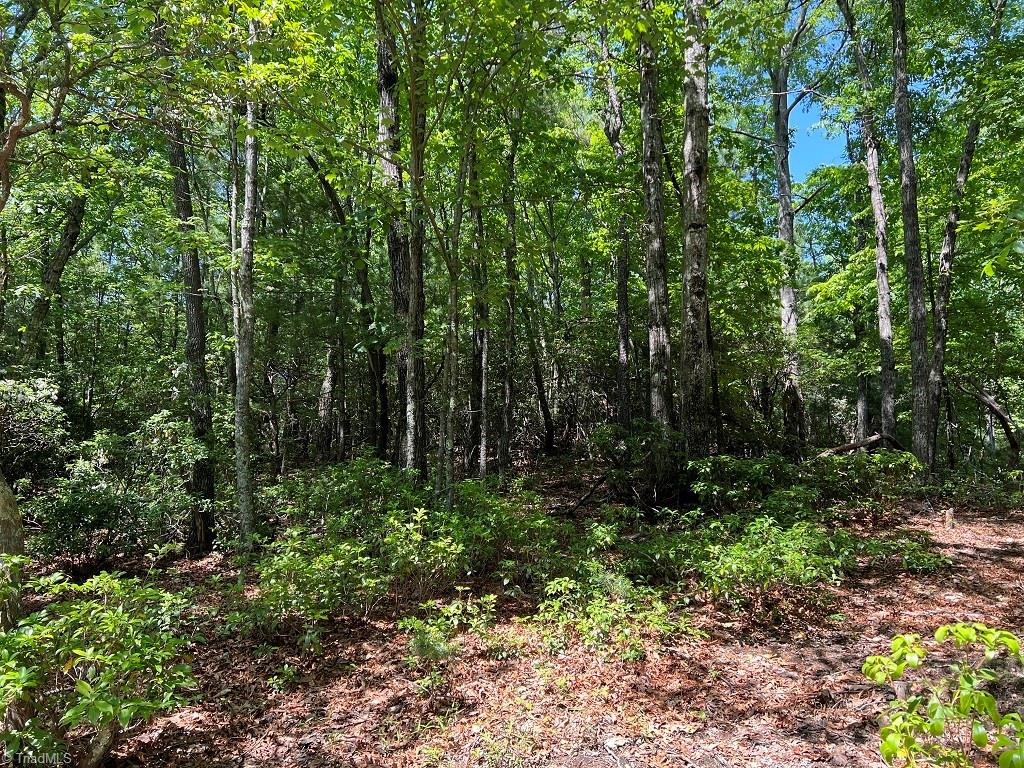 9 Laurel Road Purlear, NC 28665 - Photo 3 of 7 Gallery Image 3