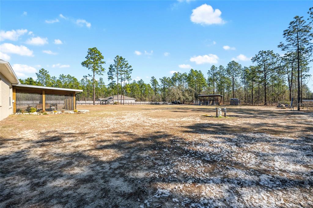 8855 Southwest 129th Terrace Road Dunnellon, FL 34432 - Photo 39 of 63