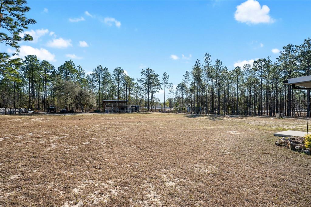 8855 Southwest 129th Terrace Road Dunnellon, FL 34432 - Photo 42 of 63