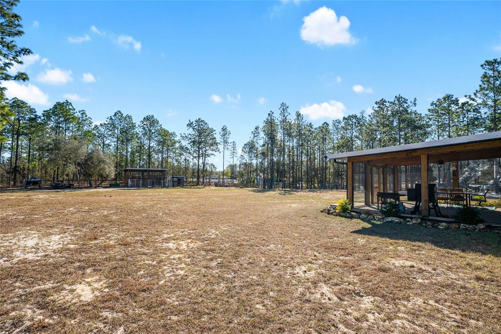 8855 Southwest 129th Terrace Road Dunnellon, FL 34432 - Photo 43 of 63