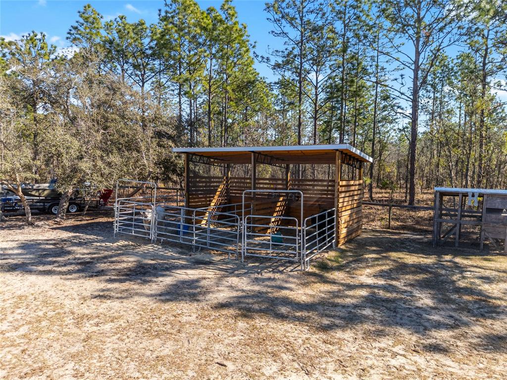 8855 Southwest 129th Terrace Road Dunnellon, FL 34432 - Photo 62 of 63