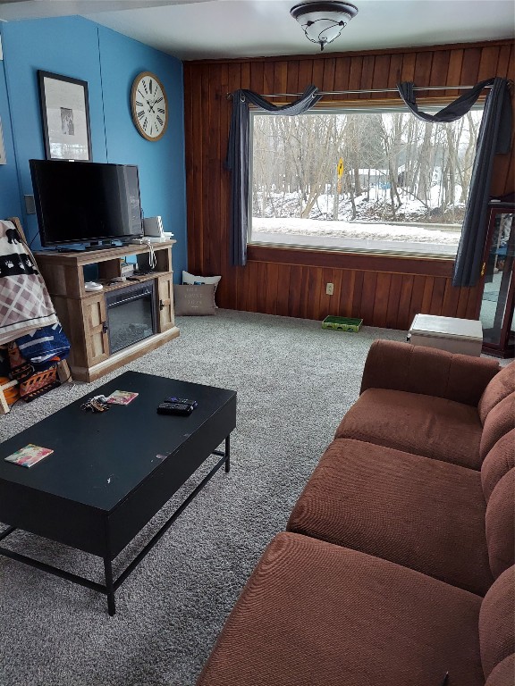 66 Ballyhack Road Port Crane, NY 13833 - Photo 2 of 19 Gallery Image 2