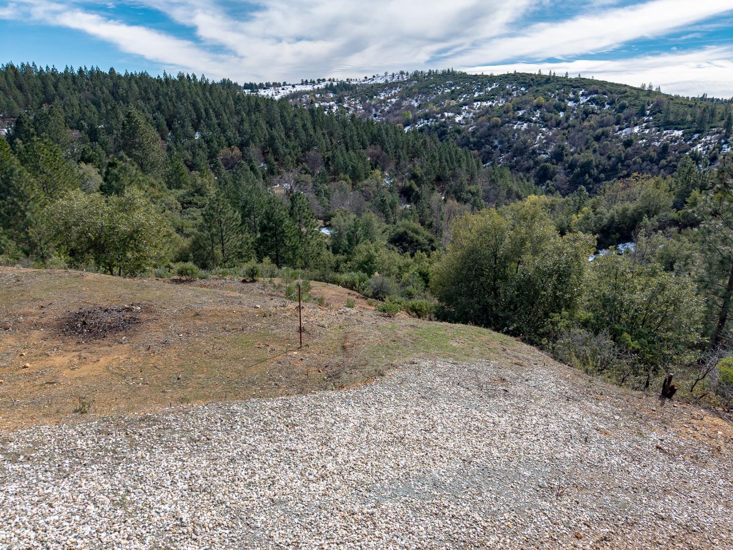 5776 Prospector Lane Murphys, CA 95247 - Photo 12 of 39 a view of a dry yard with trees in the background