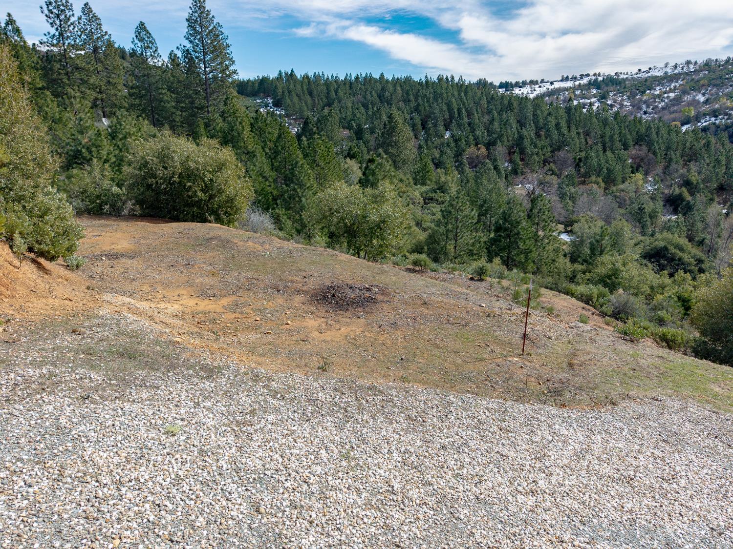 5776 Prospector Lane Murphys, CA 95247 - Photo 13 of 39 a view of a dry yard with trees in the background