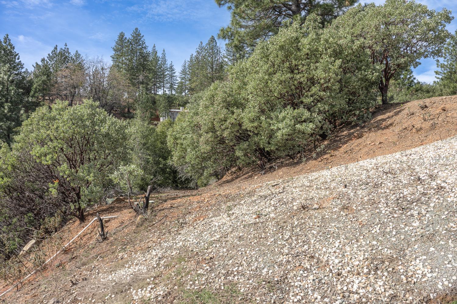 5776 Prospector Lane Murphys, CA 95247 - Photo 14 of 39 a view of a dry yard with trees in the background