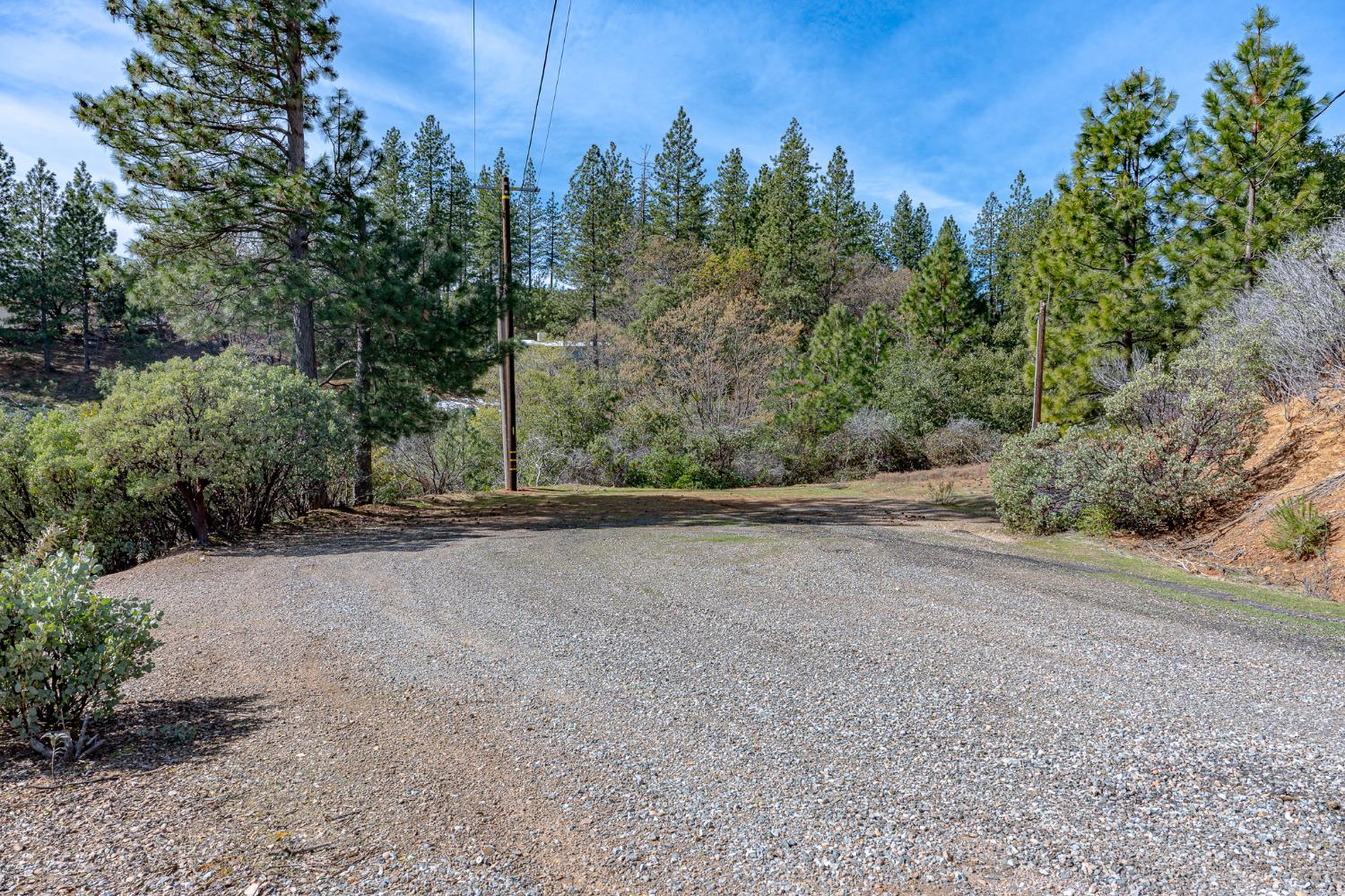 5776 Prospector Lane Murphys, CA 95247 - Photo 2 of 39 a view of a field with trees in the background