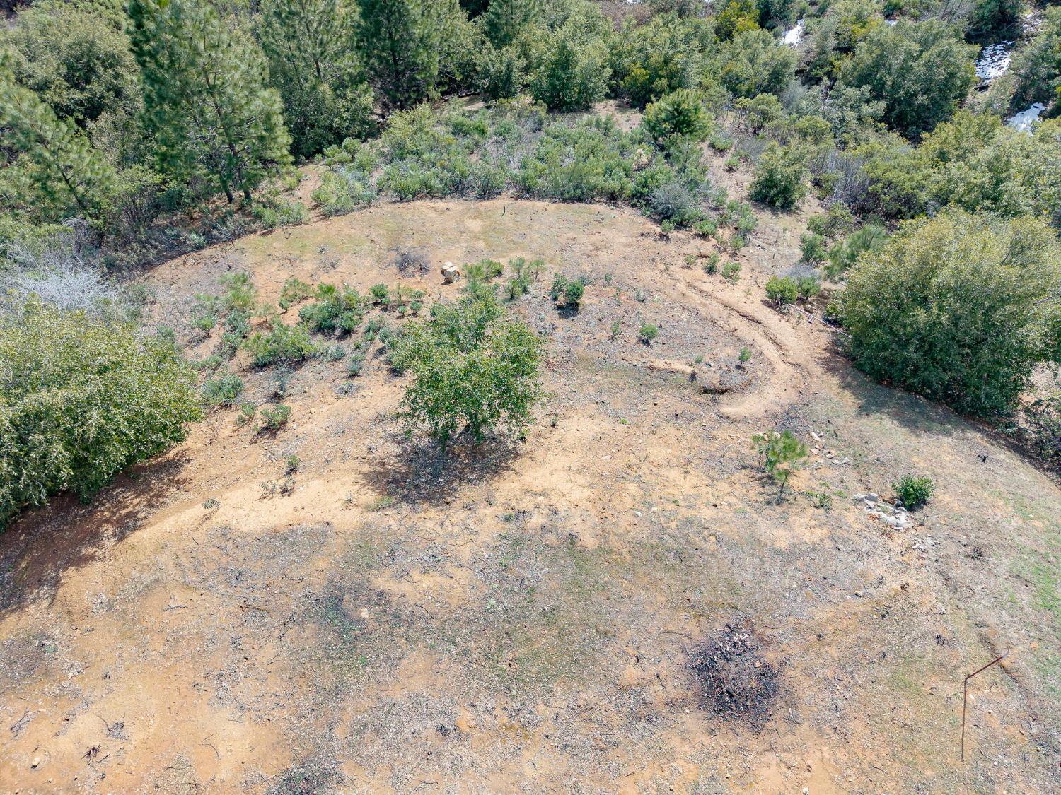 5776 Prospector Lane Murphys, CA 95247 - Photo 21 of 39 a view of a dirt road with trees in the background